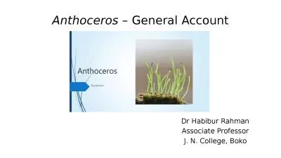 Anthoceros  – General Account