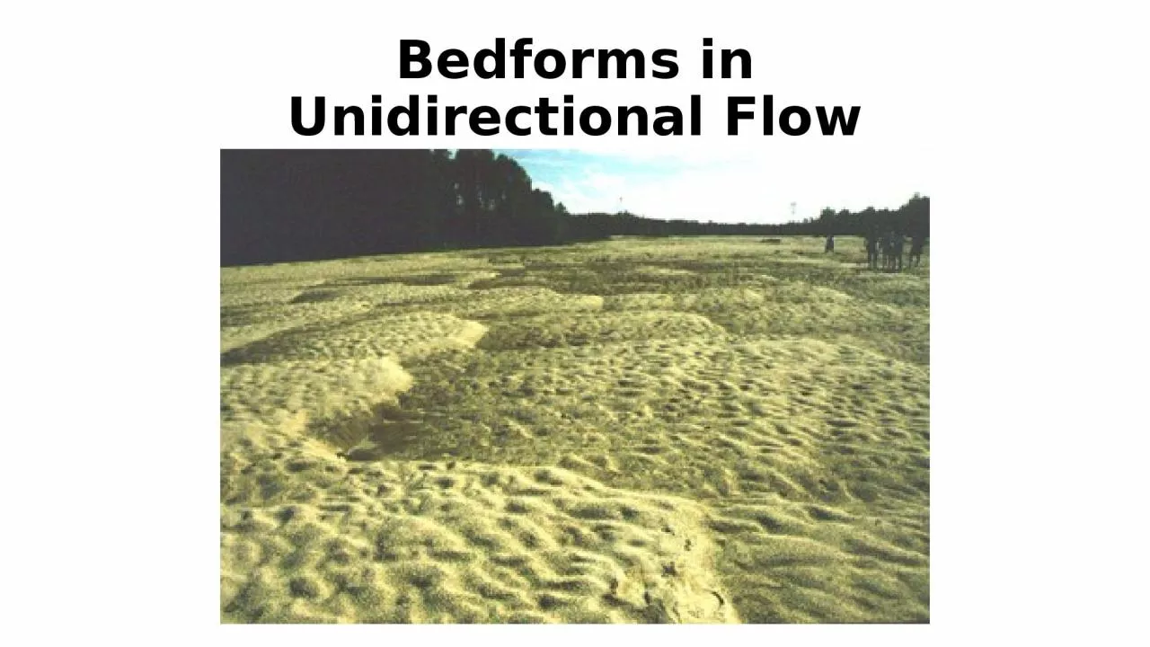 PPT-Bedforms in Unidirectional Flow