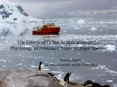 The Effects of Ocean Acidification on the Physiology of Dominant Antarctic Algal Species