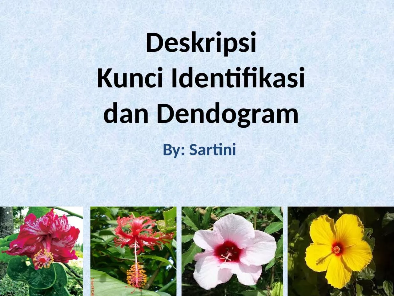 PPT-Deskripsi Kunci Identifikasi