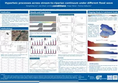 Hyporheic  processes across stream-to-riparian continuum under different flood wave conditions