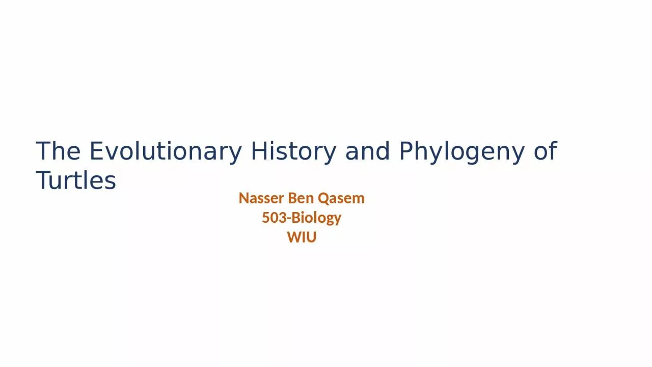 PPT-The Evolutionary History and Phylogeny of Turtles