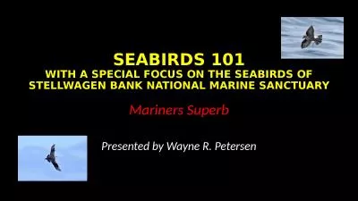 SEABIRDS 101 WITH A SPECIAL FOCUS ON THE SEABIRDS OF STELLWAGEN BANK NATIONAL MARINE SANCTUARY