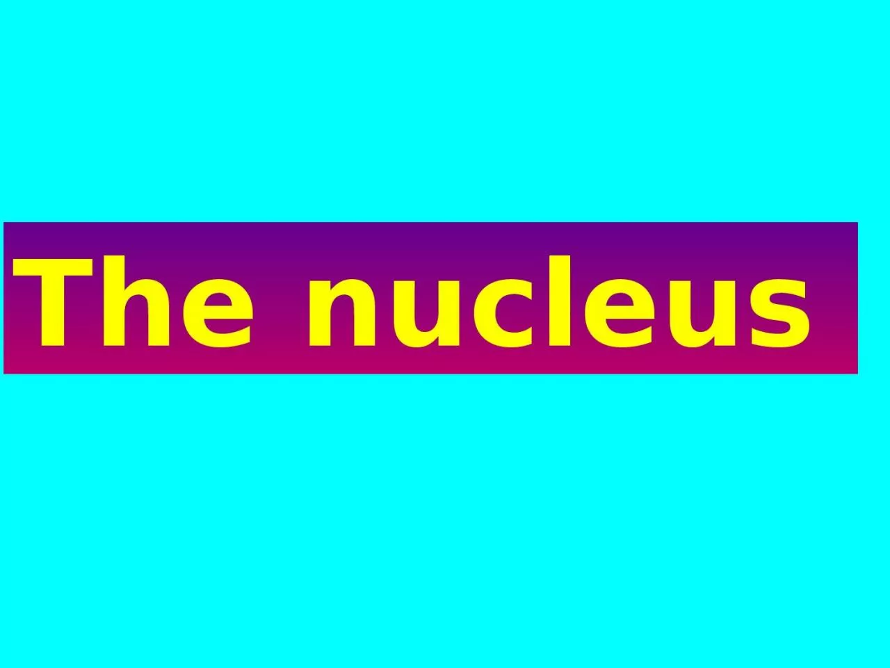 PPT-The nucleus The nucleus contains most of the cell's genetic