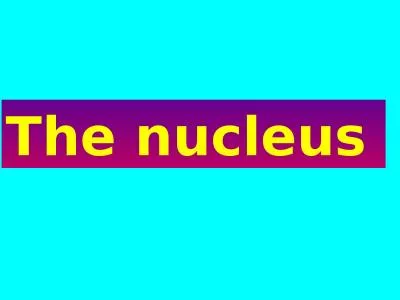 The nucleus   The nucleus contains most  of the cell's genetic