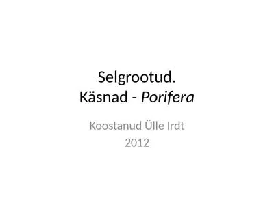 Selgrootud. Käsnad -  Porifera