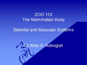 ZOO 112 The Mammalian Body