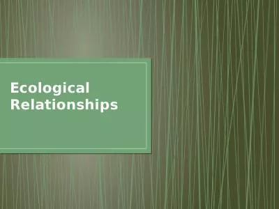 Ecological Relationships