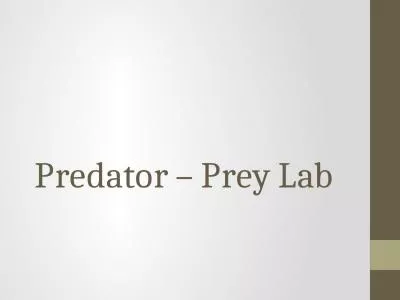 Predator – Prey Lab Experiment