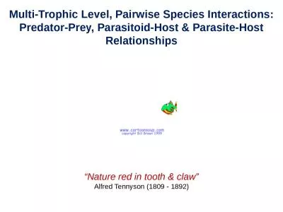 Multi-Trophic Level, Pairwise Species Interactions: