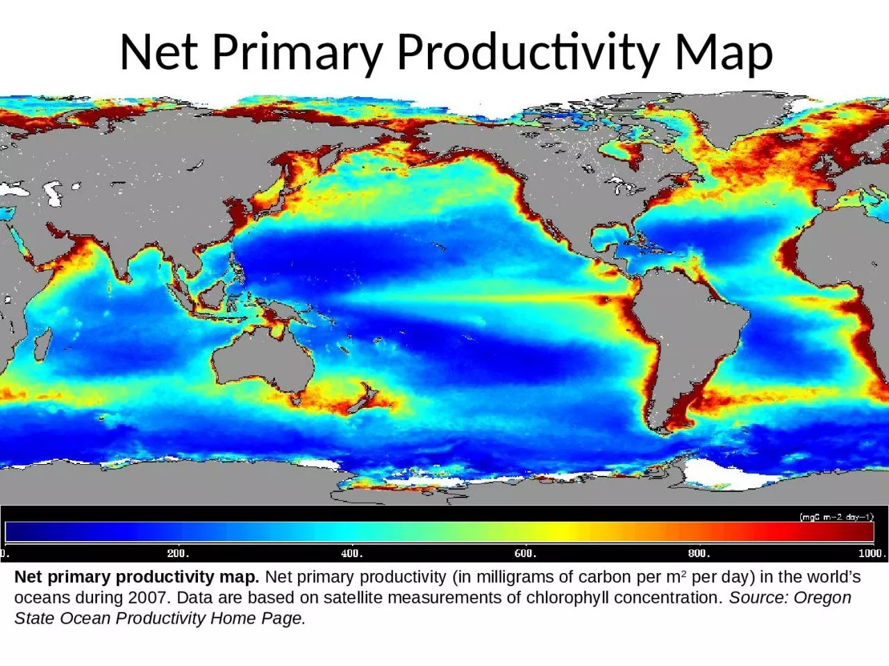 PPT-Net primary productivity map.