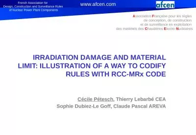 IRRADIATION DAMAGE AND MATERIAL LIMIT: ILLUSTRATION OF A WAY TO CODIFY RULES WITH RCC-