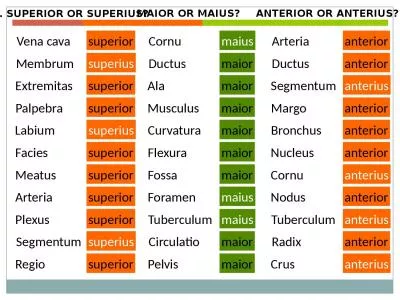 1. SUPERIOR OR SUPERIUS?