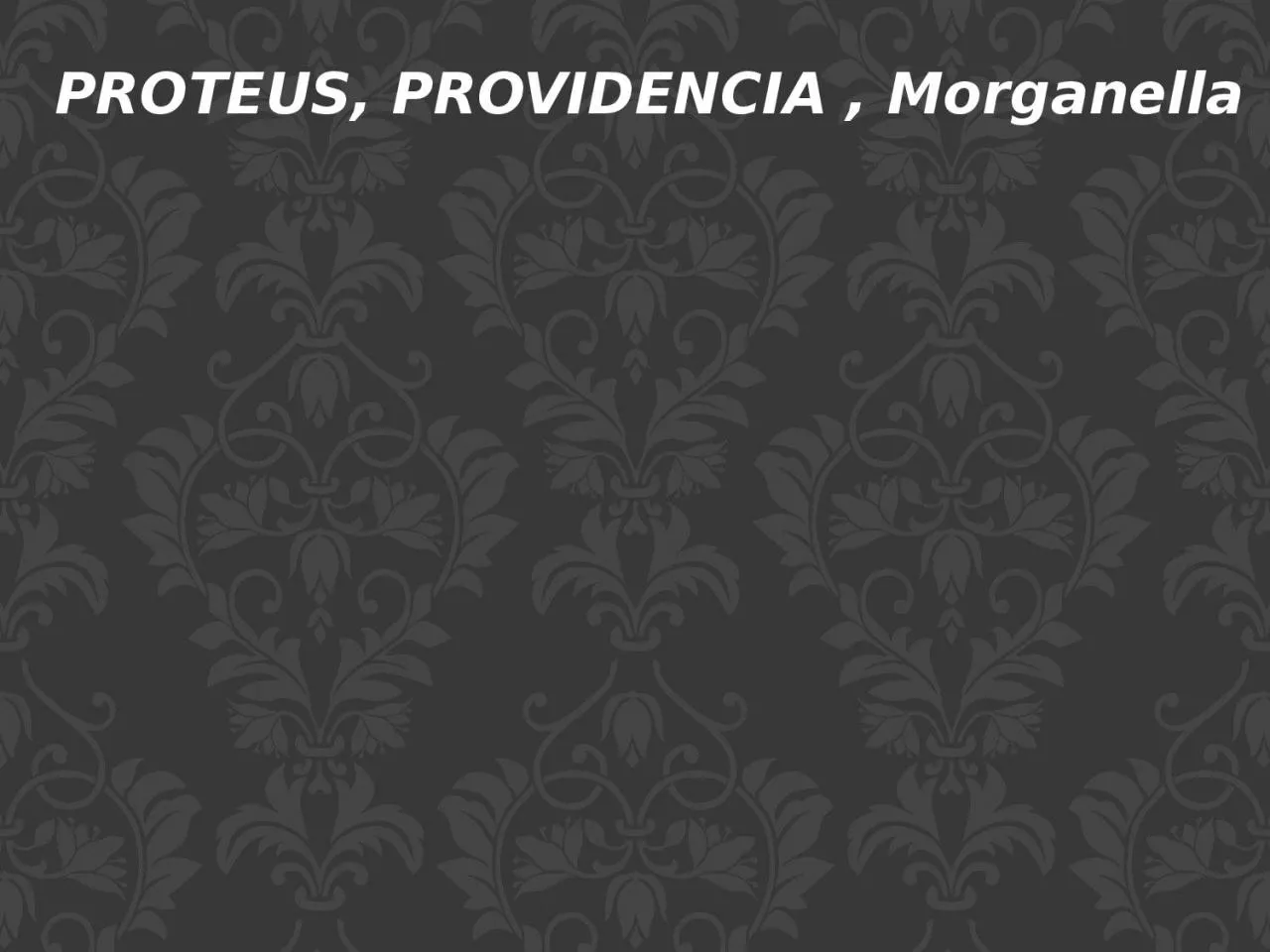 PPT-PROTEUS, PROVIDENCIA ,