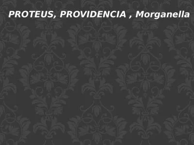 PROTEUS, PROVIDENCIA ,