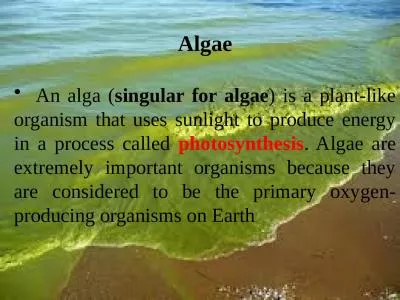 Algae   An alga ( singular for algae