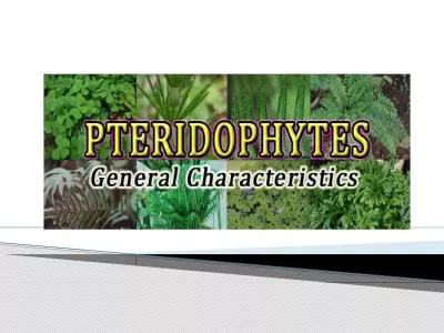 Majority of the living  Pteridophytes