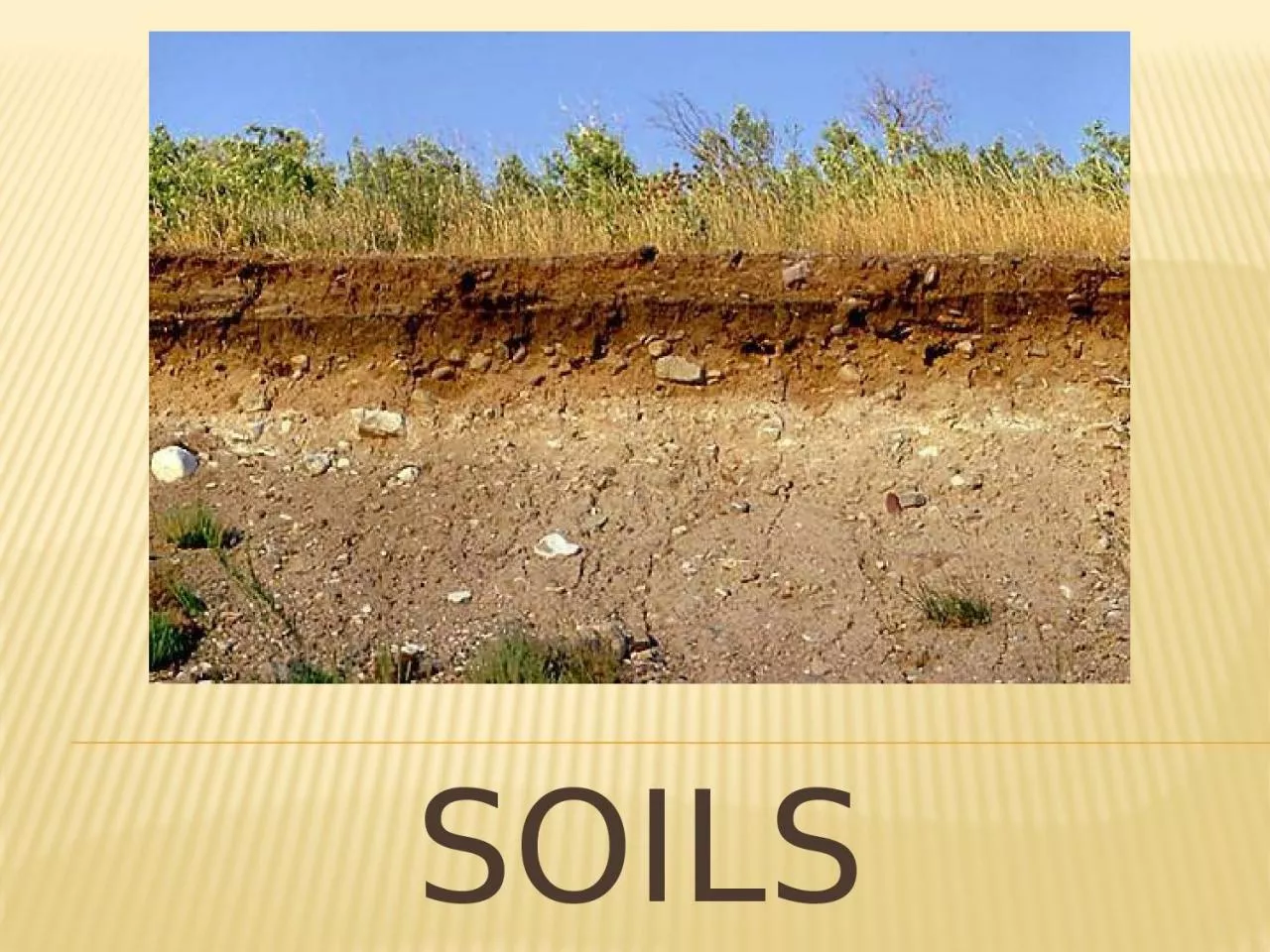 PPT-Soils What is soil Formed