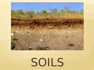 Soils What is soil Formed