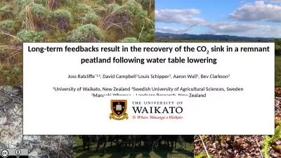 Long-term feedbacks result in the recovery of the CO