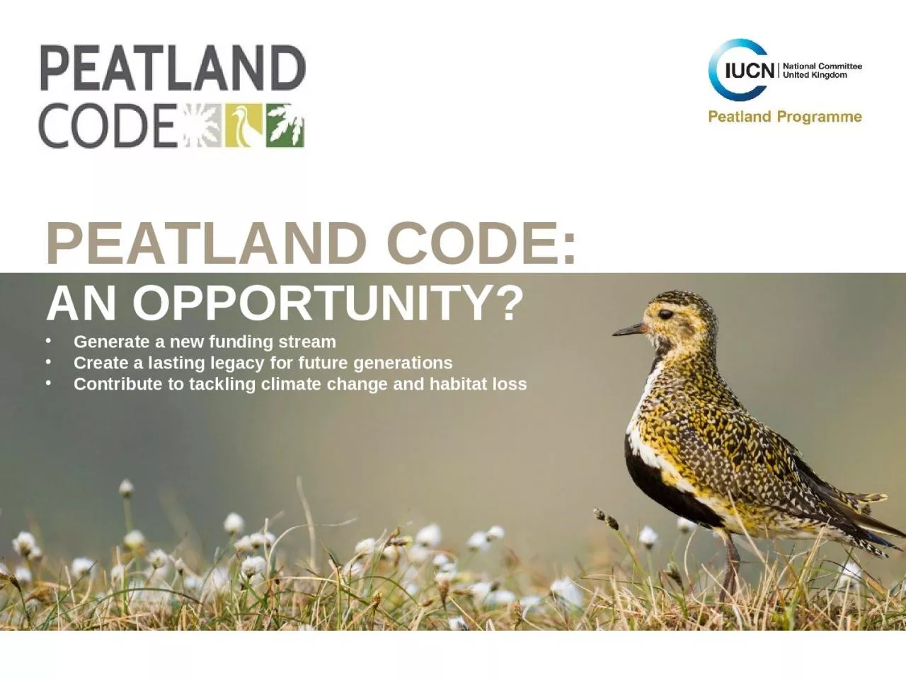 PPT-PEATLAND CODE: AN OPPORTUNITY?