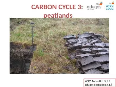 CARBON CYCLE 3 :  peatlands