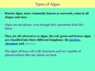 Types of Algae Marine  algae, more commonly known as seaweeds, come in