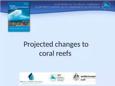 Projected changes to coral reefs