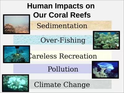 Human Impacts on  Our Coral Reefs