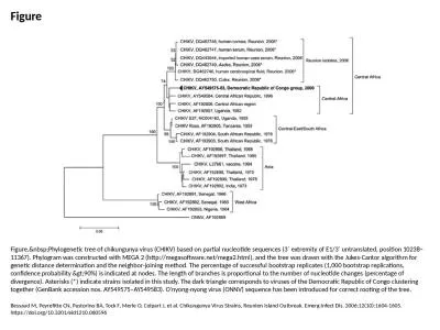 Figure Figure.&nbsp;Phylogenetic tree of chikungunya virus (CHIKV) based on partial nucleotide