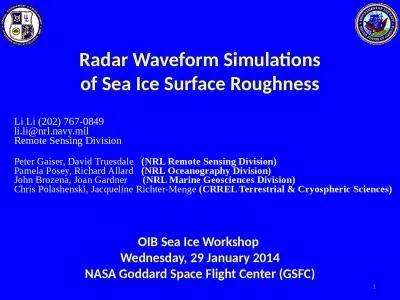 OIB  Sea Ice Workshop  Wednesday, 29 January 2014