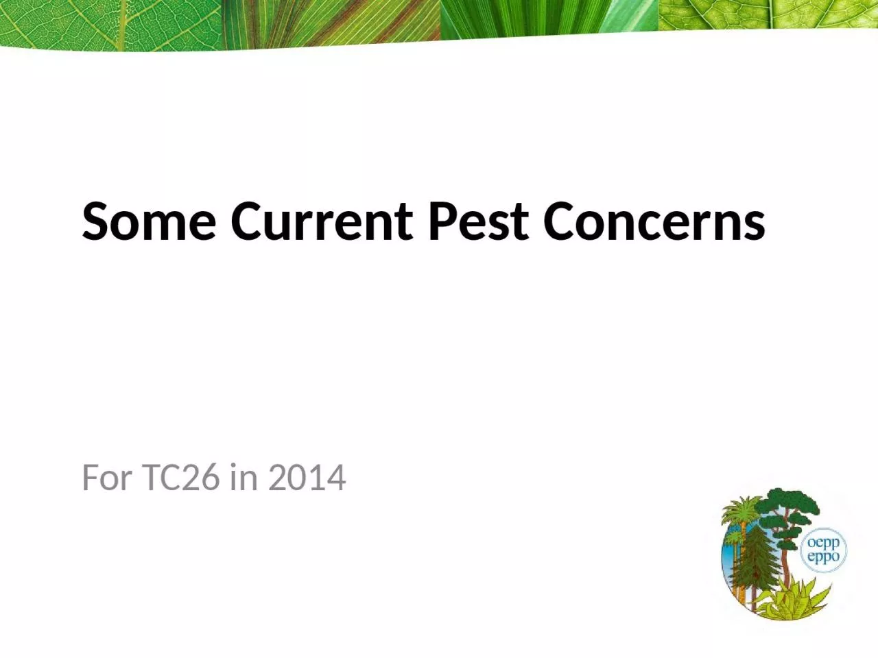 PPT-Some Current Pest Concerns