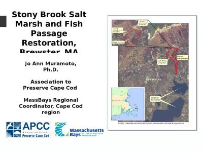 Stony Brook Salt Marsh and Fish Passage Restoration, Brewster, MA