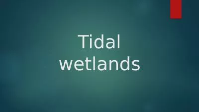 Tidal wetlands Today’s Objectives