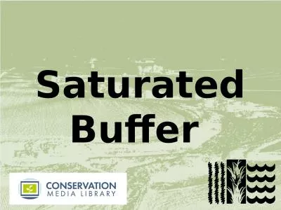 Saturated Buffer  What  Is a Saturated Buffer?