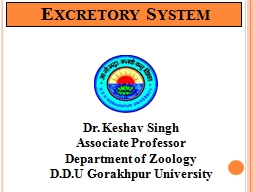 Excretory System Dr.  Keshav