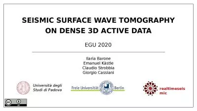 Seismic  Surface Wave Tomography on dense 3D active data