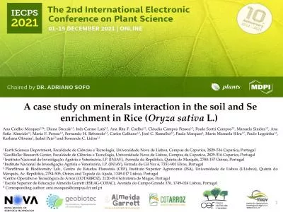 A case study on minerals interaction in the soil and Se enrichment in Rice (