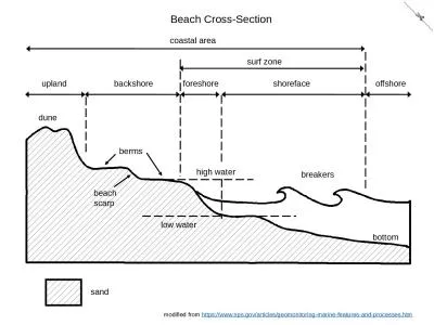 ✄  Beach Cross-Section