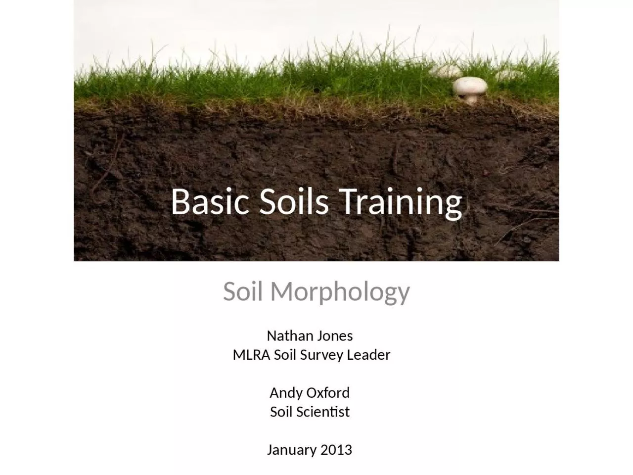 Basic Soils Training Soil Morphology