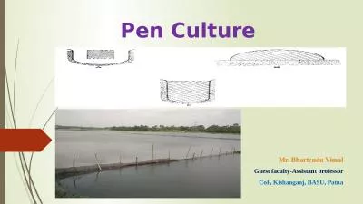 Pen Culture Mr.  Bhartendu