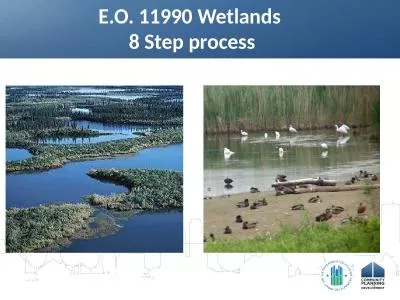 E.O. 11990 Wetlands  8 Step process
