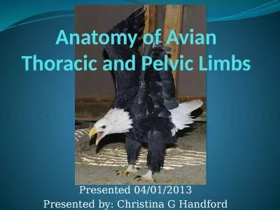 Anatomy of Avian Thoracic and Pelvic Limbs