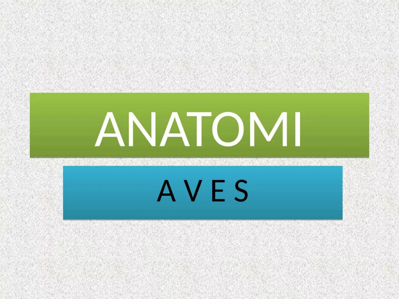 PPT-ANATOMI A V E S Morfologi