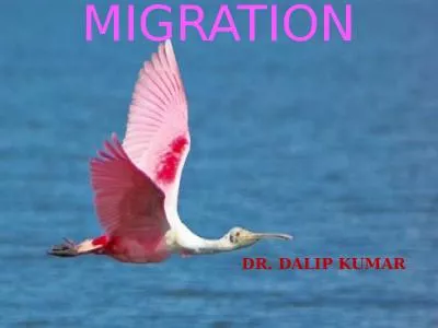 BIRD   MIGRATION DR. DALIP KUMAR