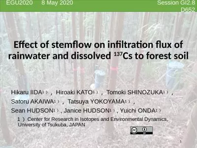 Effect of stemflow on infiltration flux of rainwater and dissolved