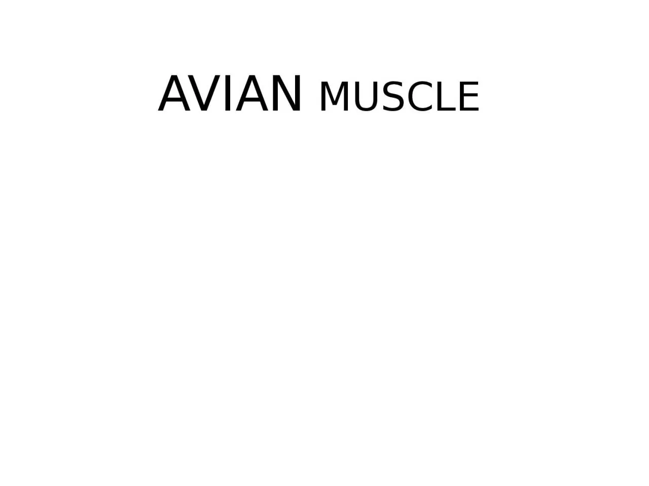 AVIAN  MUSCLE INTRODUCTION