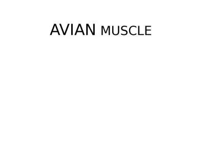 AVIAN  MUSCLE INTRODUCTION