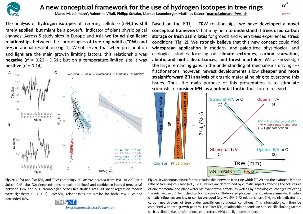 1 A new conceptual framework for the use of hydrogen isotopes in tree