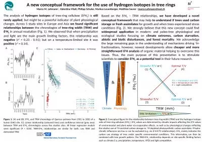 1 A new conceptual framework for the use of hydrogen isotopes in tree